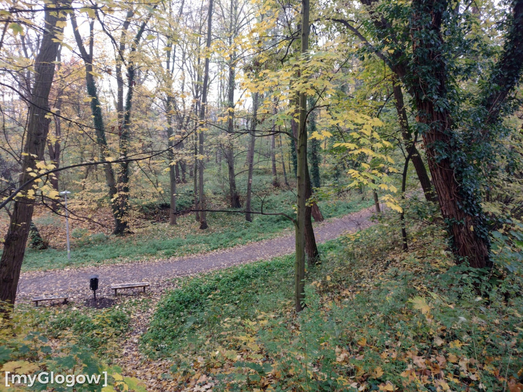 Odkrycia w Forcie Gwiaździstym w Głogowie