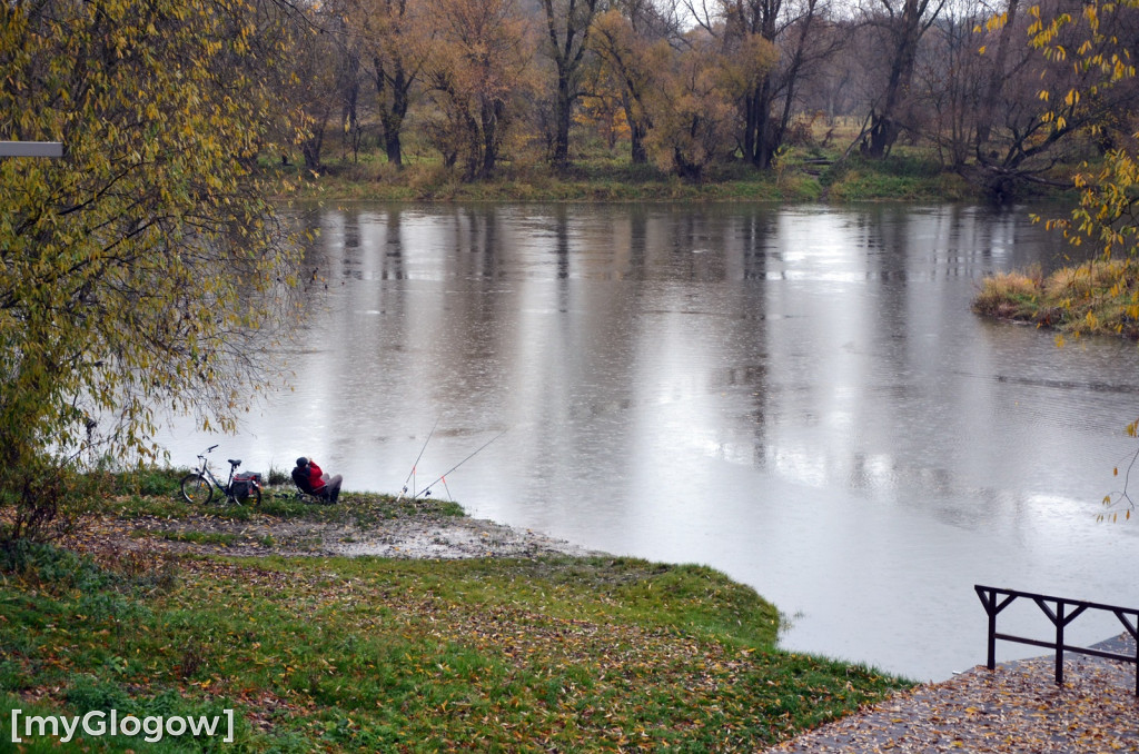 Rodzinne warsztaty modelarskie w Głogowie