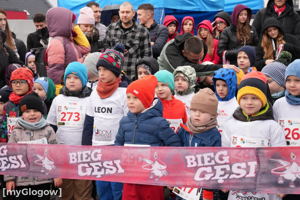 Bieg Gęsi Jerzmanowa