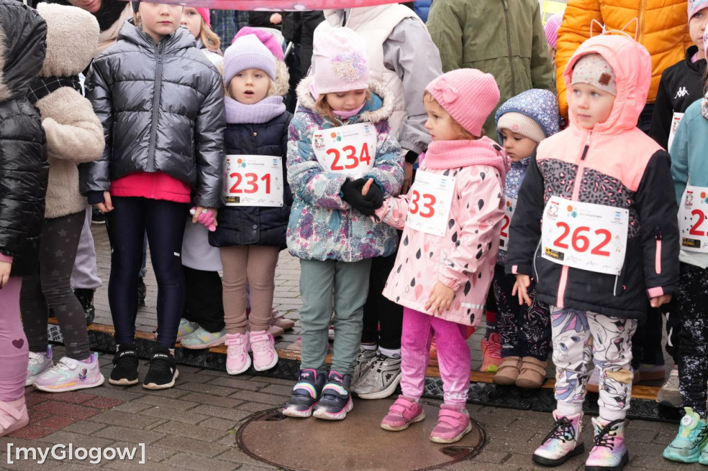 Bieg Gęsi Jerzmanowa