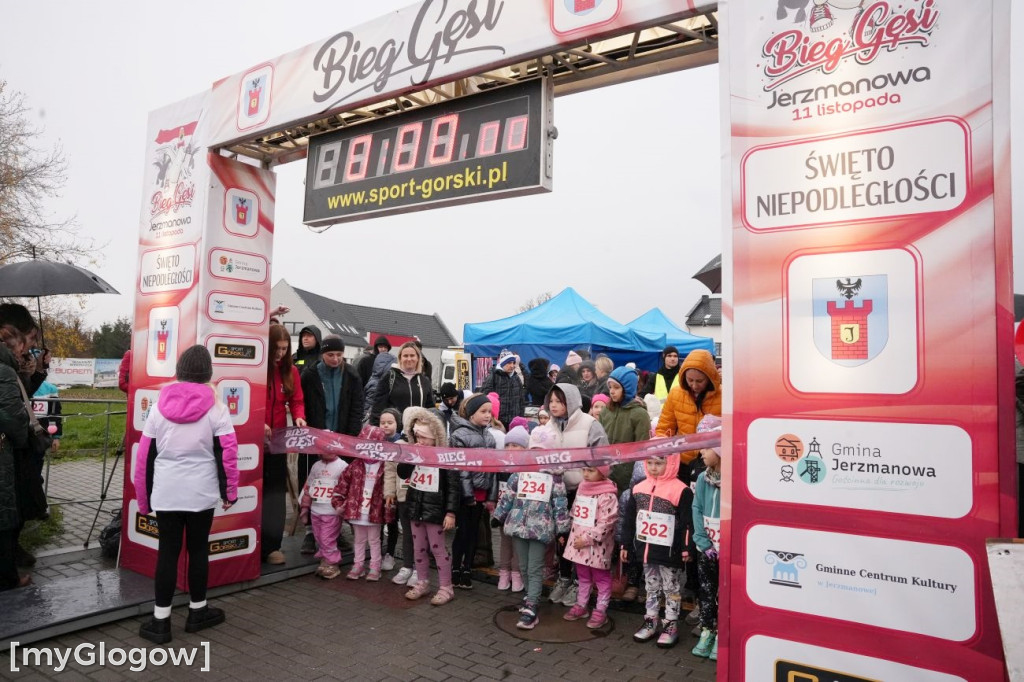 Bieg Gęsi Jerzmanowa