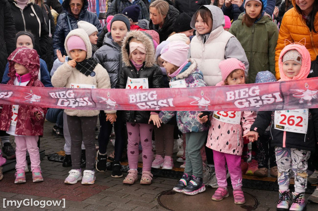 Bieg Gęsi Jerzmanowa