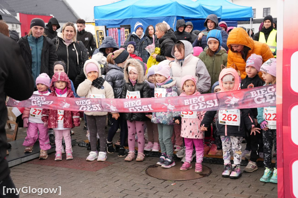 Bieg Gęsi Jerzmanowa