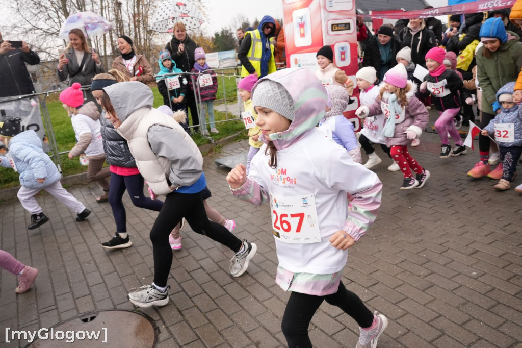 Bieg Gęsi Jerzmanowa