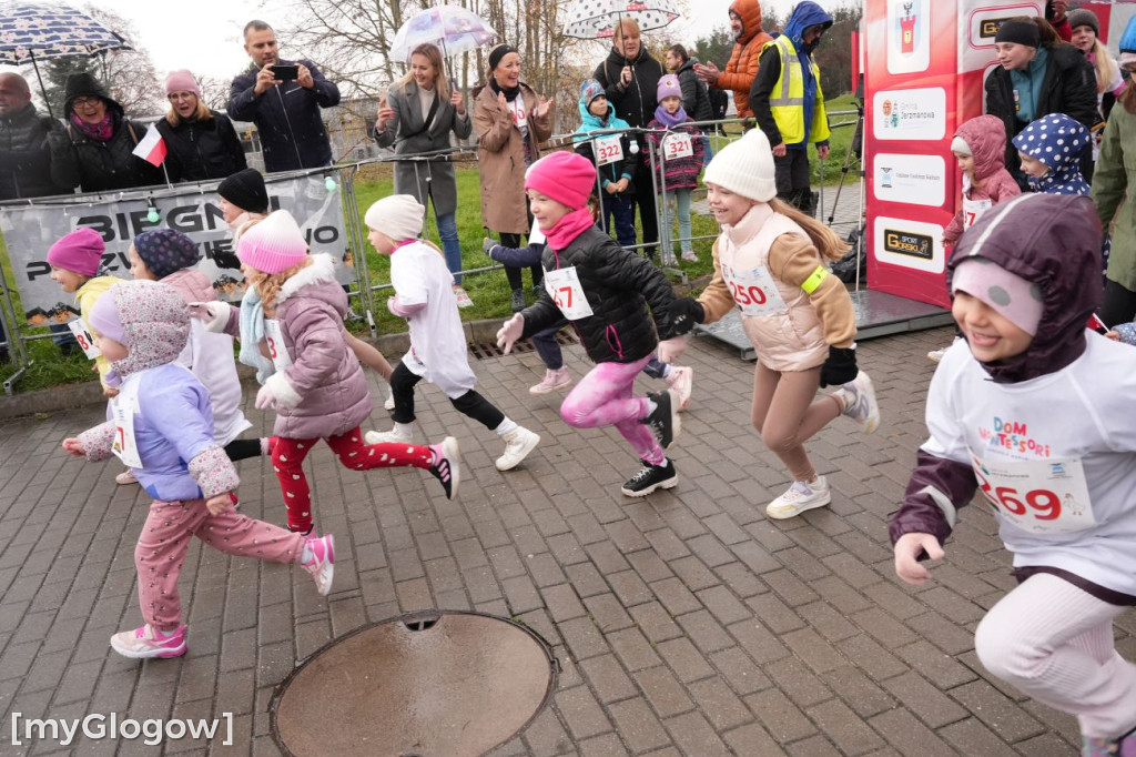 Bieg Gęsi Jerzmanowa