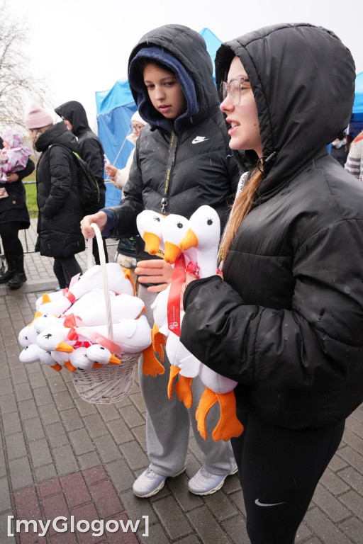 Bieg Gęsi Jerzmanowa