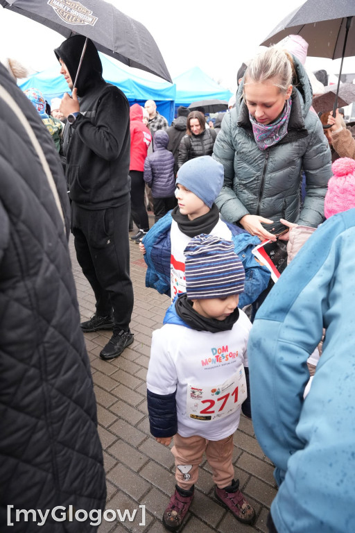 Bieg Gęsi Jerzmanowa