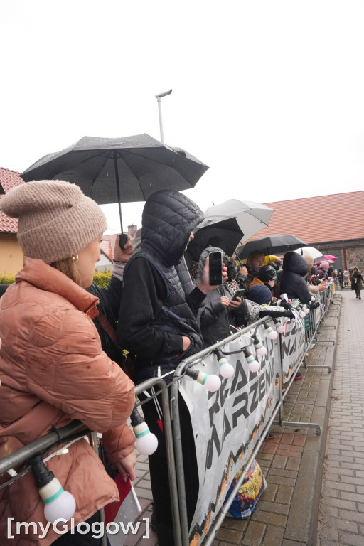 Bieg Gęsi Jerzmanowa