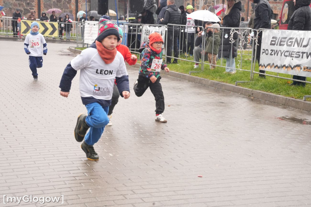 Bieg Gęsi Jerzmanowa