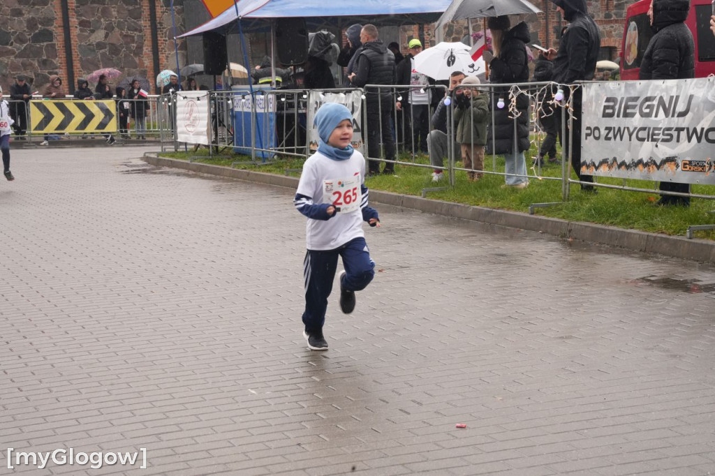 Bieg Gęsi Jerzmanowa