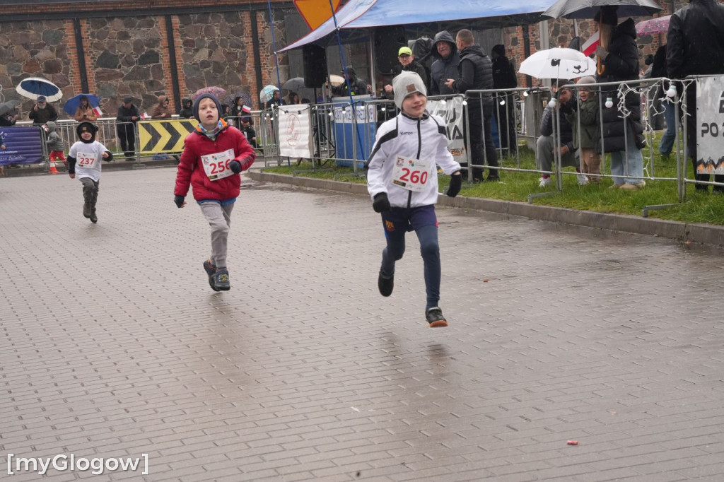 Bieg Gęsi Jerzmanowa