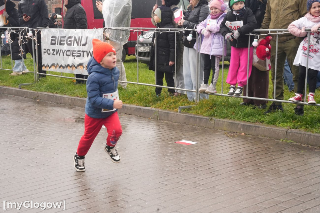 Bieg Gęsi Jerzmanowa