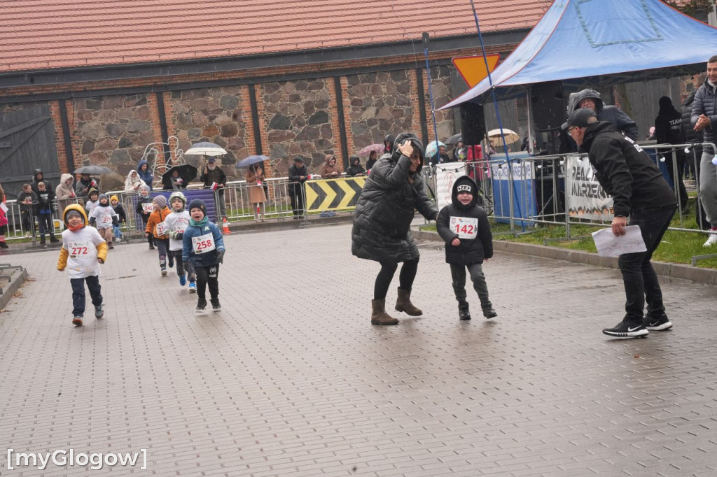 Bieg Gęsi Jerzmanowa