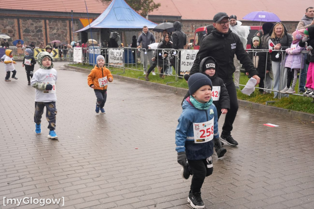 Bieg Gęsi Jerzmanowa