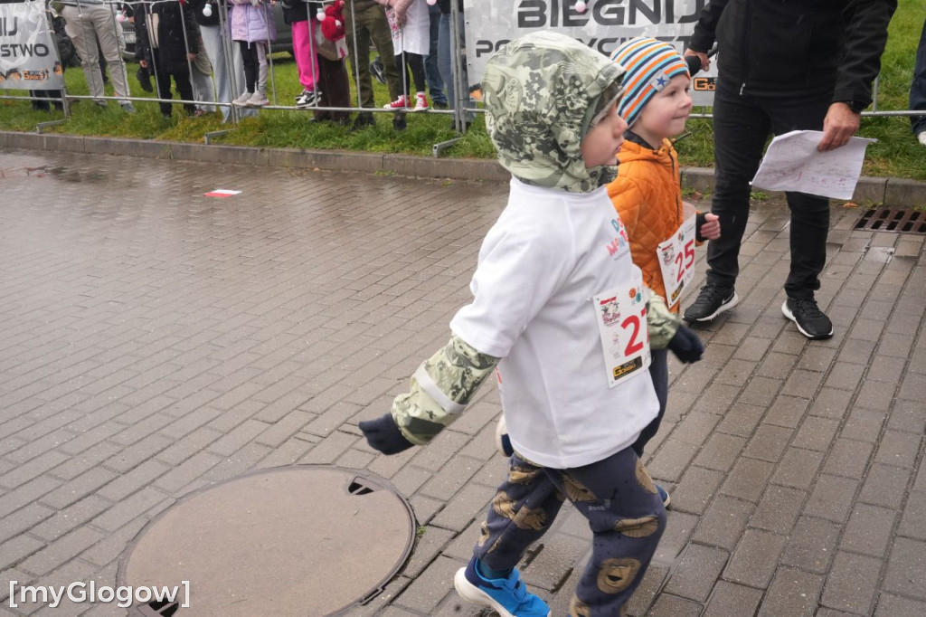 Bieg Gęsi Jerzmanowa