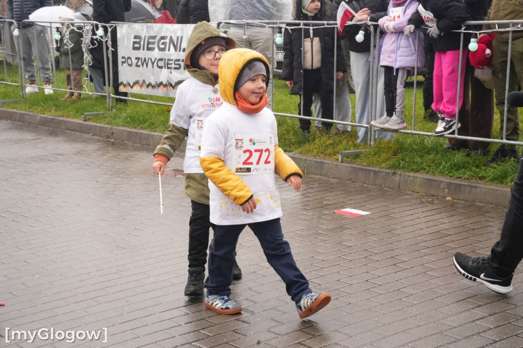 Bieg Gęsi Jerzmanowa