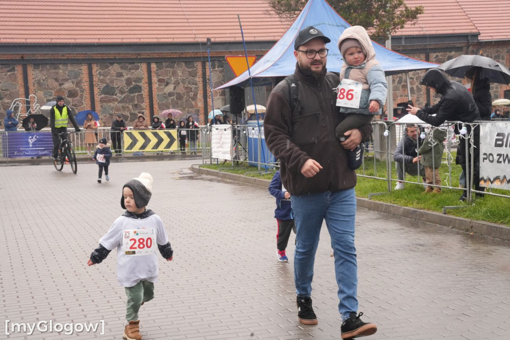 Bieg Gęsi Jerzmanowa