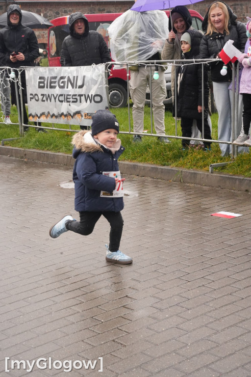 Bieg Gęsi Jerzmanowa