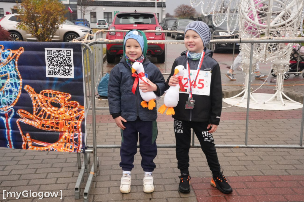 Bieg Gęsi Jerzmanowa