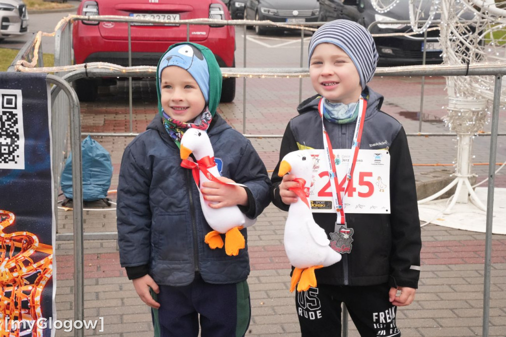 Bieg Gęsi Jerzmanowa