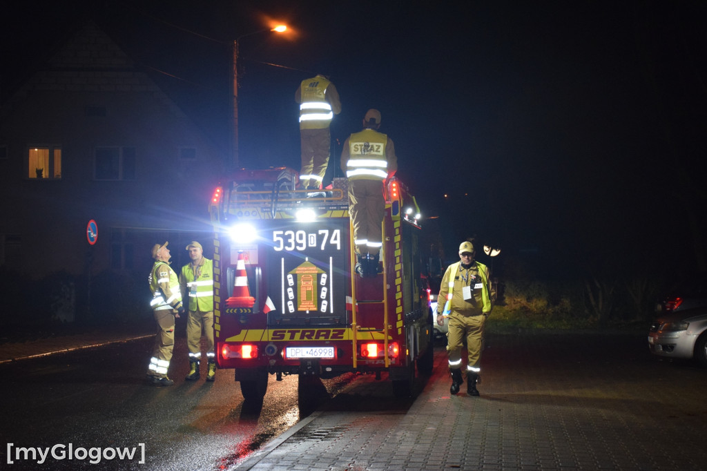 I Nocny Marszobieg dla Niepodłej w Grębocicach