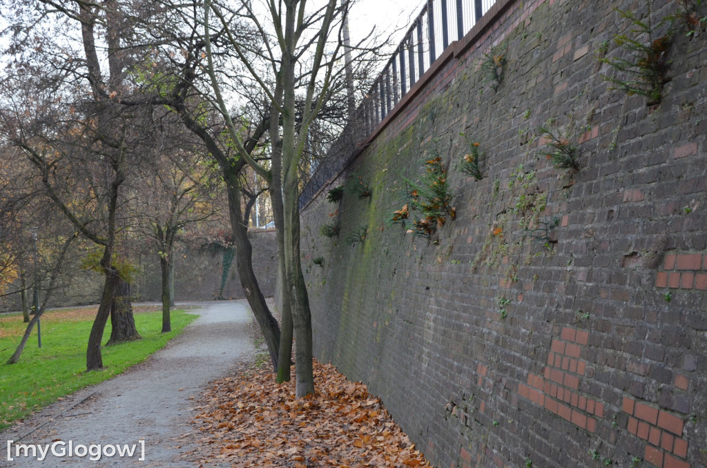 W fosie w Głogowie dopiero się zacznie