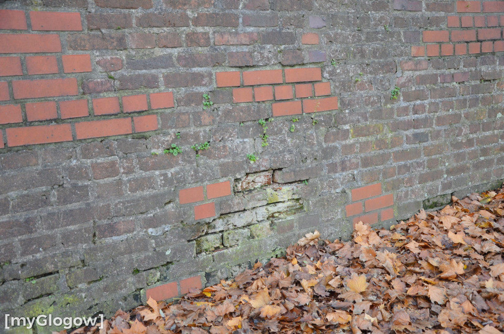 W fosie w Głogowie dopiero się zacznie