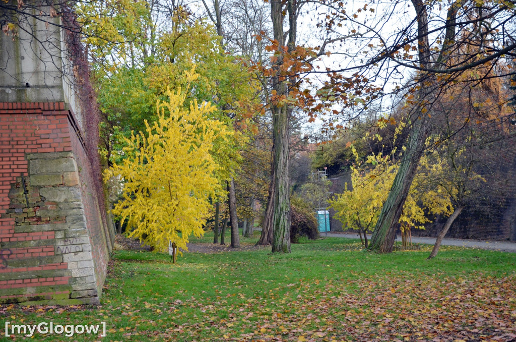 W fosie w Głogowie dopiero się zacznie