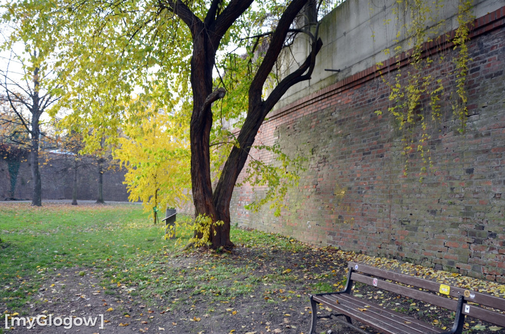 W fosie w Głogowie dopiero się zacznie