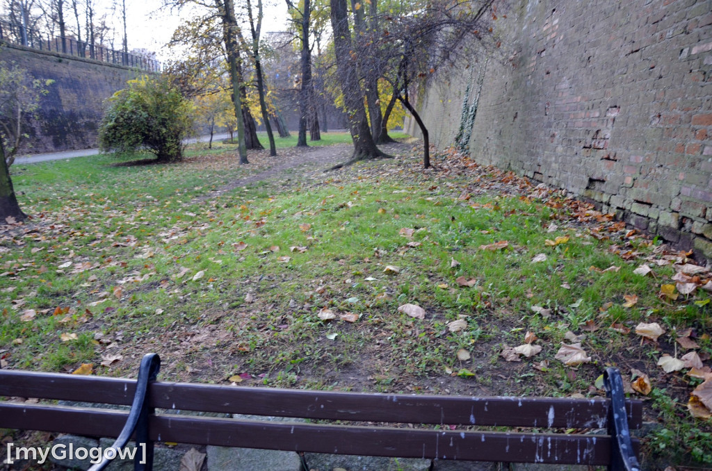 W fosie w Głogowie dopiero się zacznie