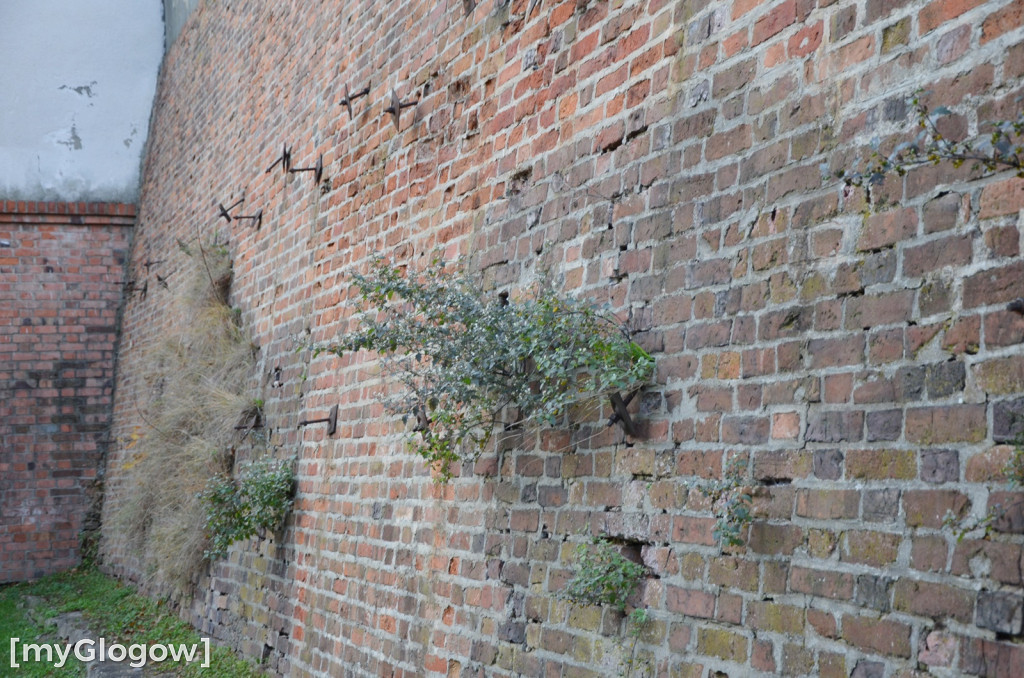 W fosie w Głogowie dopiero się zacznie