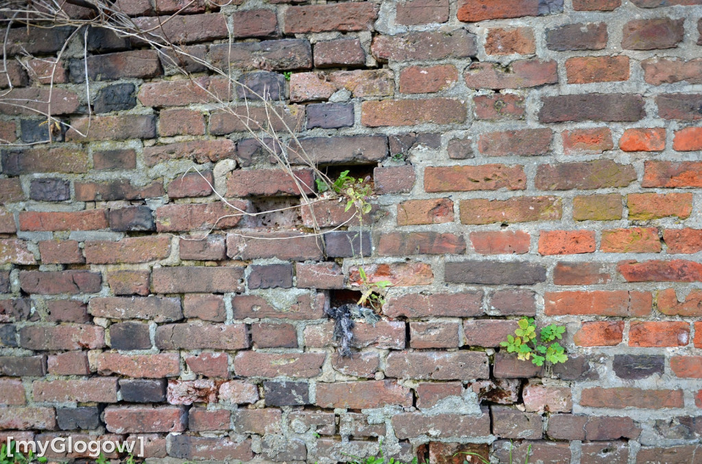 W fosie w Głogowie dopiero się zacznie