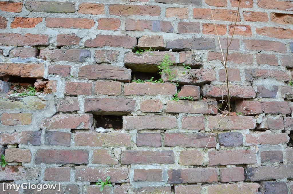W fosie w Głogowie dopiero się zacznie