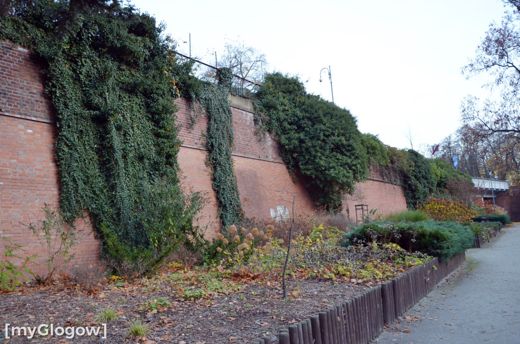 W fosie w Głogowie dopiero się zacznie