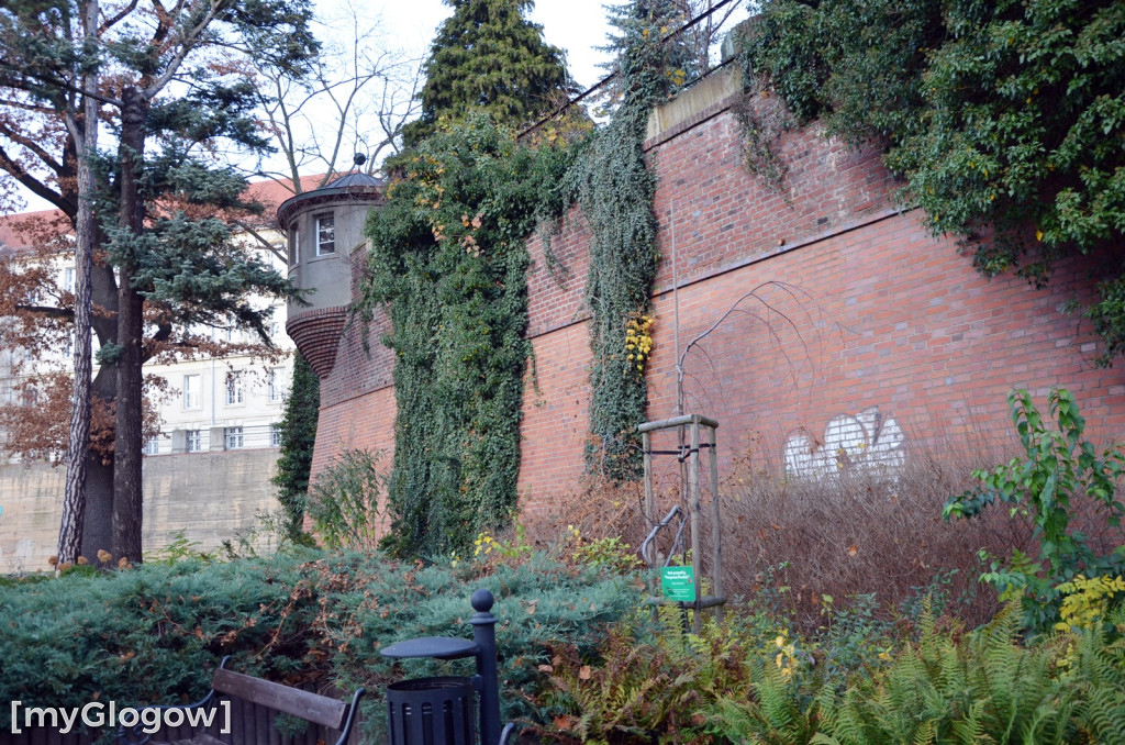 W fosie w Głogowie dopiero się zacznie