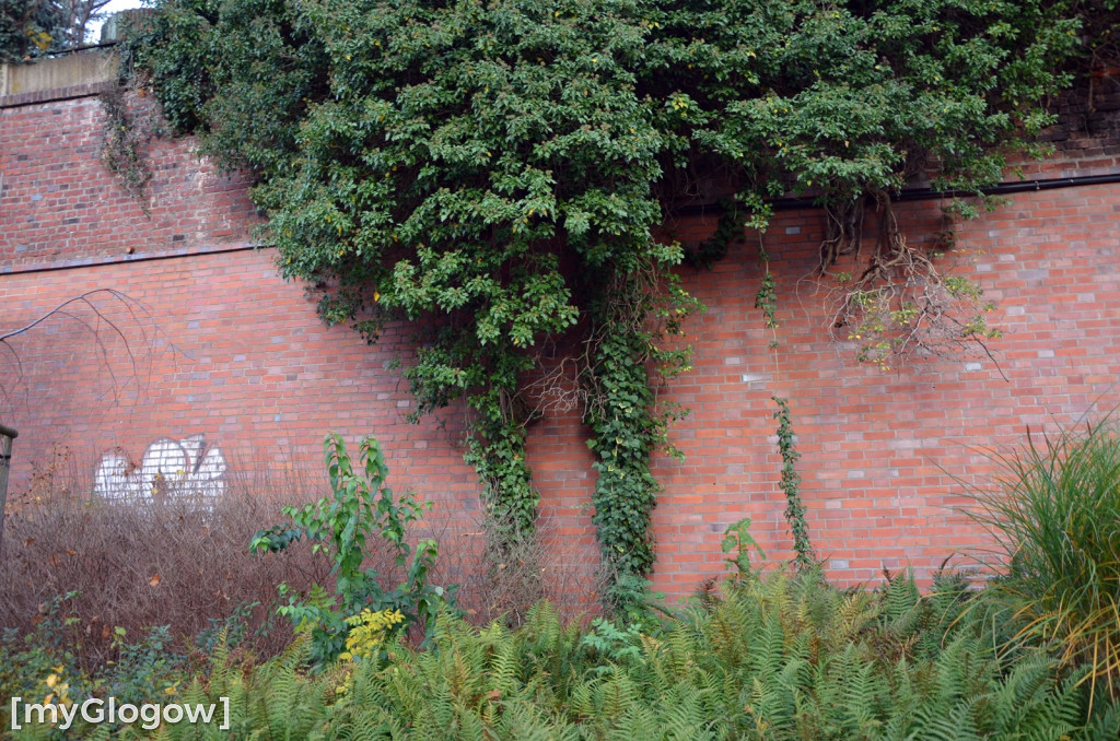 W fosie w Głogowie dopiero się zacznie