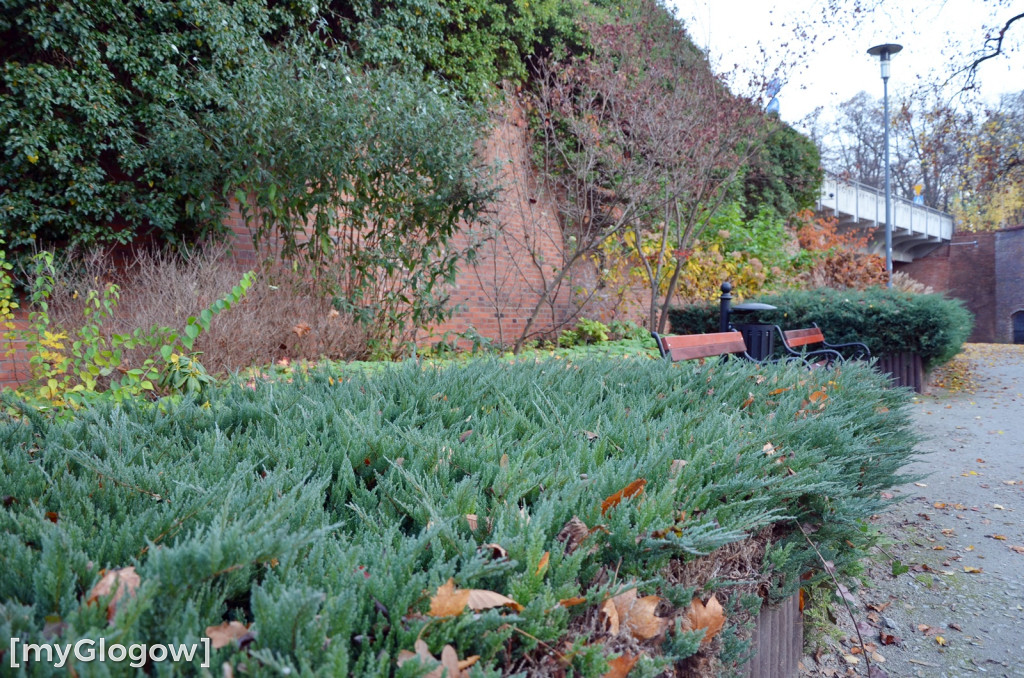 W fosie w Głogowie dopiero się zacznie