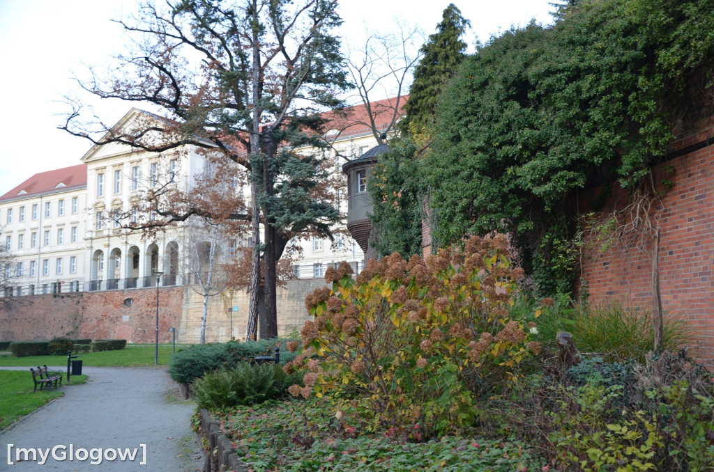 W fosie w Głogowie dopiero się zacznie