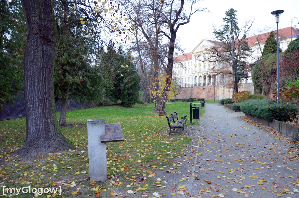 W fosie w Głogowie dopiero się zacznie