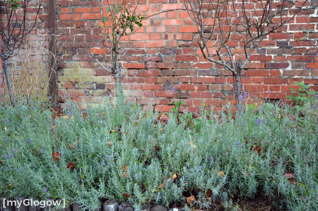 W fosie w Głogowie dopiero się zacznie