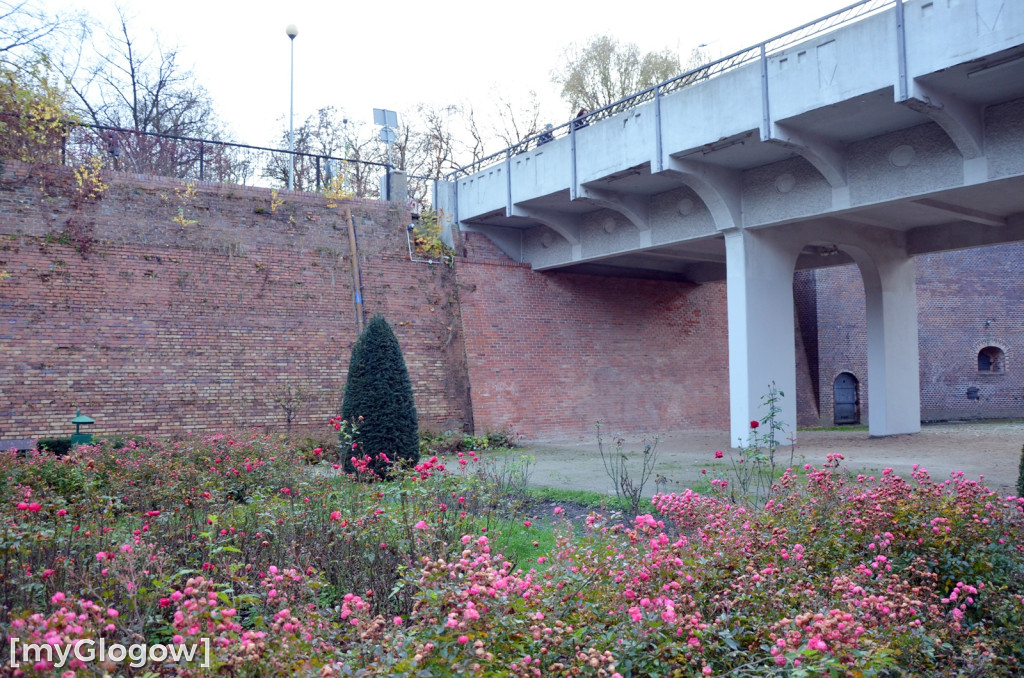 W fosie w Głogowie dopiero się zacznie
