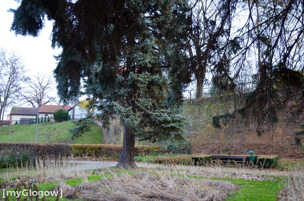 W fosie w Głogowie dopiero się zacznie