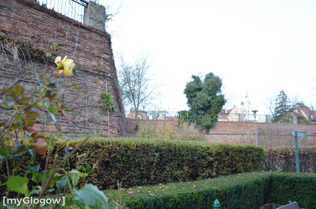 W fosie w Głogowie dopiero się zacznie