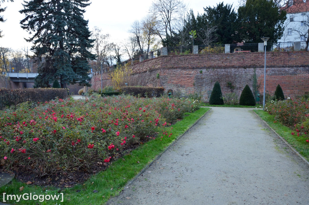 W fosie w Głogowie dopiero się zacznie