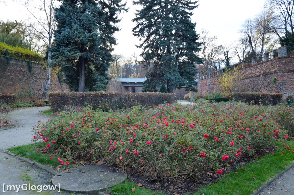 W fosie w Głogowie dopiero się zacznie