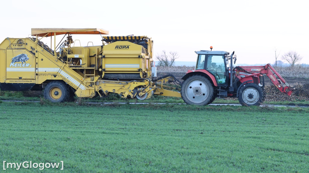Kraksa na drodze orskiej za Głogowem