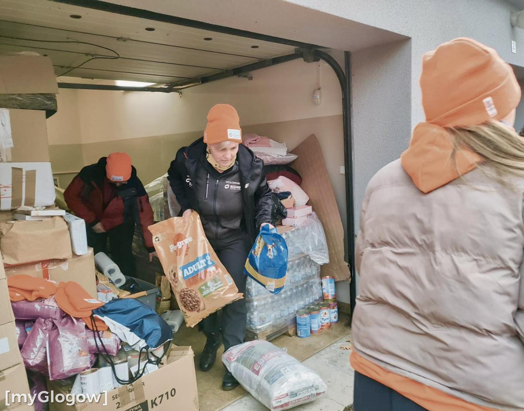 Wolontariat KGHM dla  czworonogów