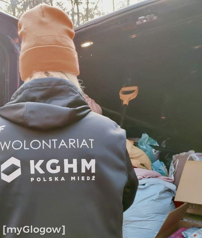 Wolontariat KGHM dla  czworonogów