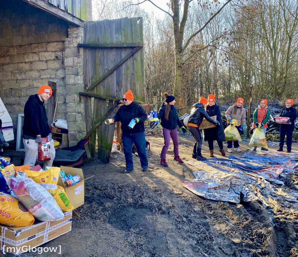 Wolontariat KGHM dla  czworonogów