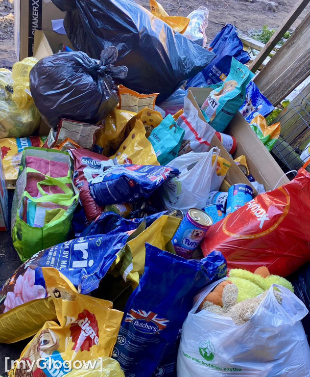 Wolontariat KGHM dla  czworonogów